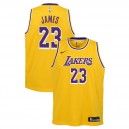 Los Angeles Lakers Jeunes Lebron James ^ 23 Edition Icône Jersey d'or